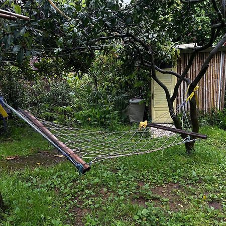 Hostel Eco Chakvi Kültér fotó