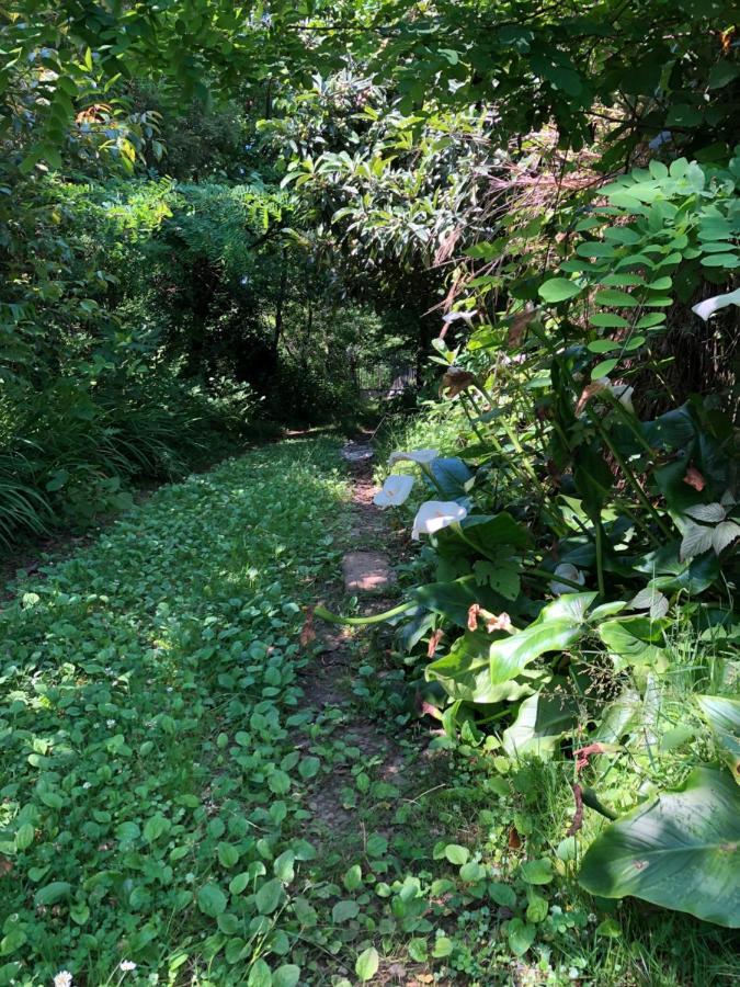 Hostel Eco Chakvi Kültér fotó